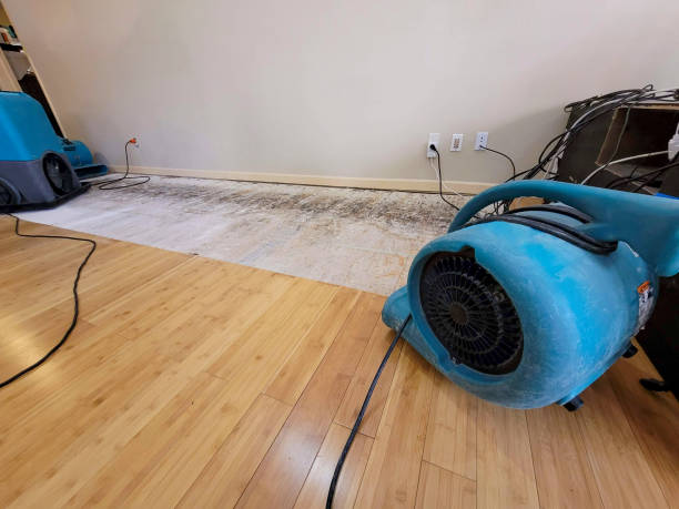 Professional Water Damage Repair technician working in Collins, MS