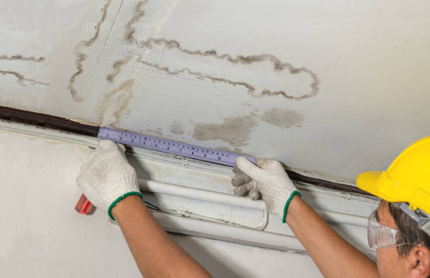 Affordable Water Damage Repair solutions in Collins, MS